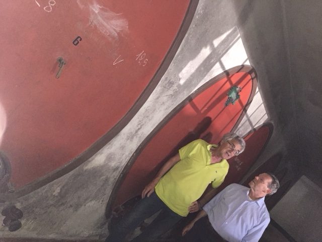La cantina di vinificazione della IGT Terre Lariane 3 IMG 5149 e1537299411663