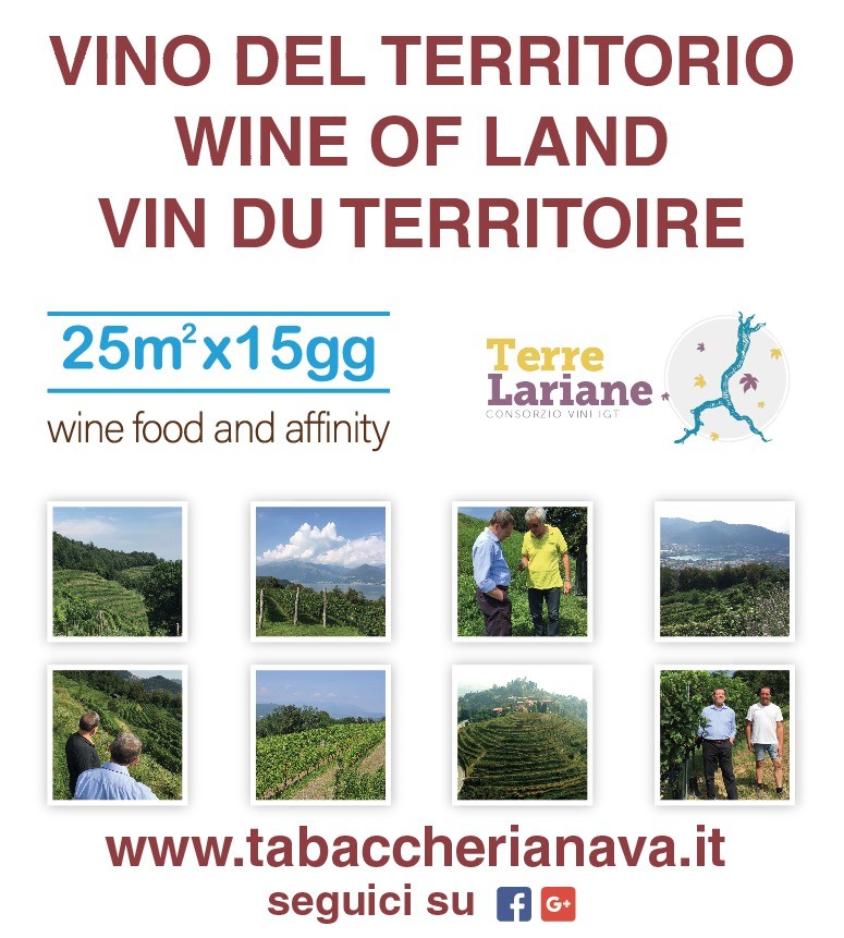 Dai vigneti alla tabaccheria! 3 7b4ac4e9 26b3 4a18 a39a f9998e4a0be5